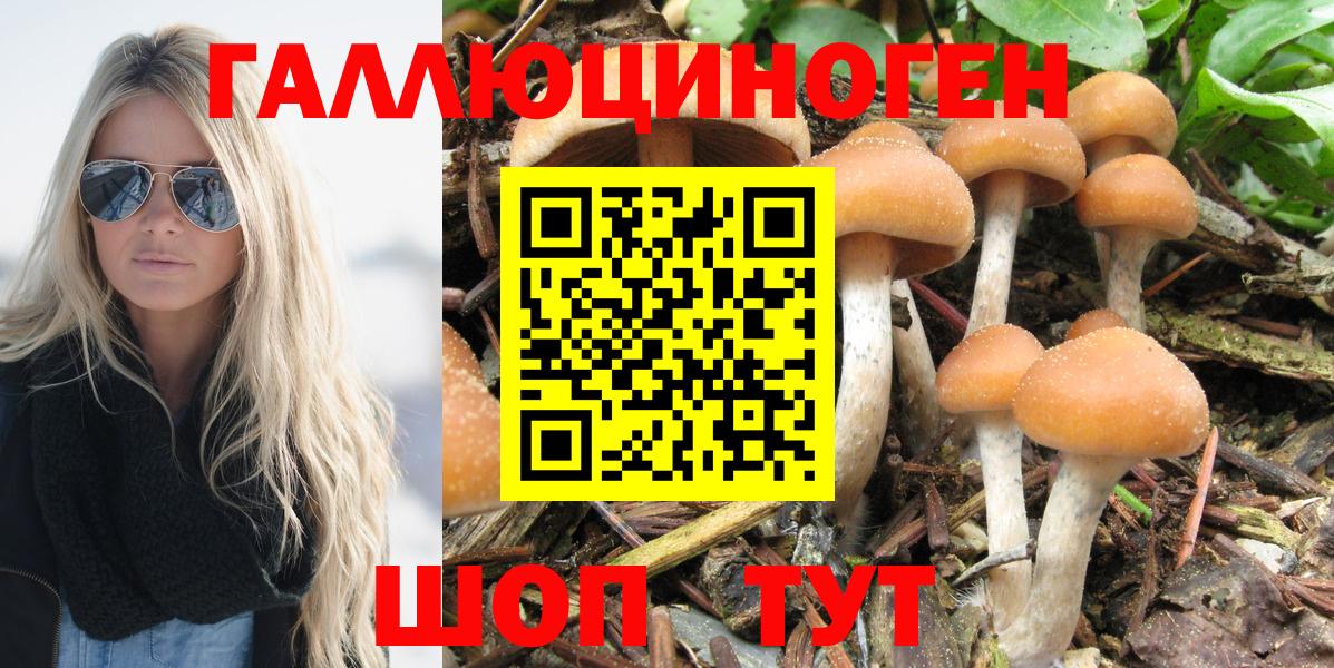 Галлюциногенные грибы Psilocybe  Псилоцибиновые грибы Psilocybe  Вход с VPN  Коммунар 