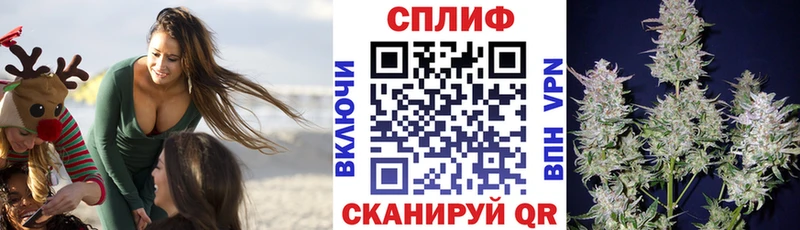 Шишки марихуана гибрид  Коммунар 